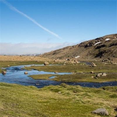 持续推进青藏高原生态保护和高质量发展 奋力谱写中国式现代化青海篇章